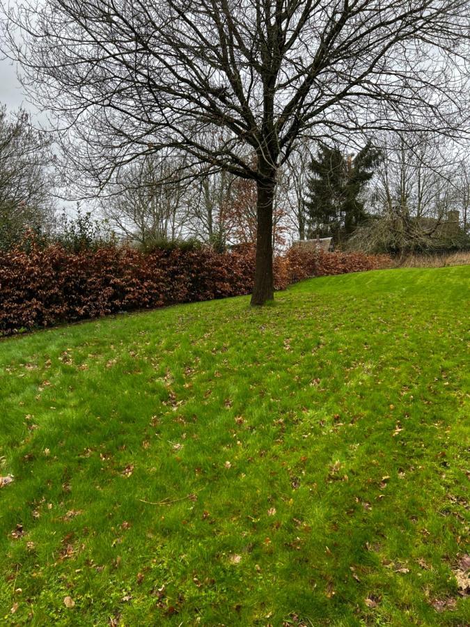 4 St Richard'S Cottages Fittleworth 外观 照片